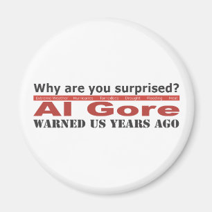 Al Gore warnte uns Magnet