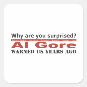 Al Gore warnte uns Quadratischer Aufkleber