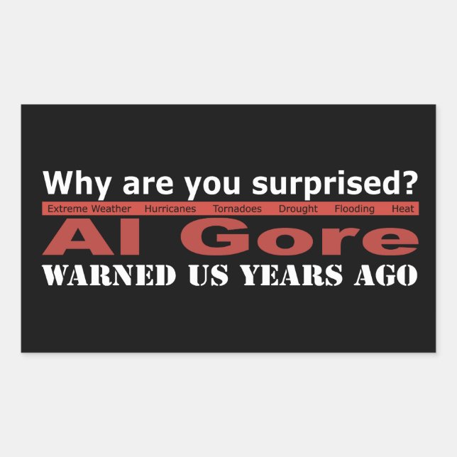 Al Gore warnte uns Rechteckiger Aufkleber (Vorderseite)