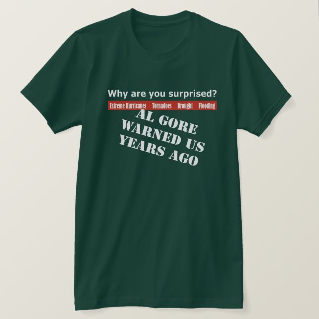 Al Gore warnte uns T-Shirt (Design vorne)