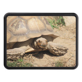 Ala aldabra abschlepphaken cover