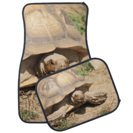 Ala aldabra autofußmatte