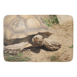 Ala Aldabra Badematte
