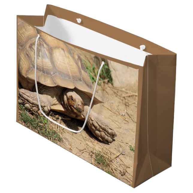 Ala aldabra große geschenktüte (Vorderseite Schrägansicht)