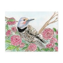 Alabama Postcard