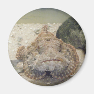 Alabama Sea Life #2 Magnet