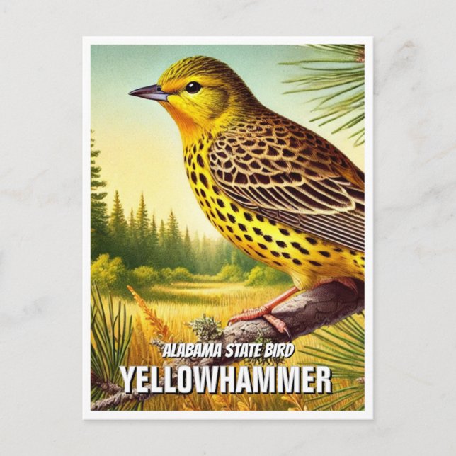 Alabama Staat Bird Yellowhammer Postkarte (Vorderseite)