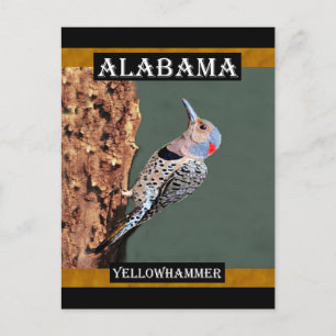 Alabama Yellowhammer Postkarte