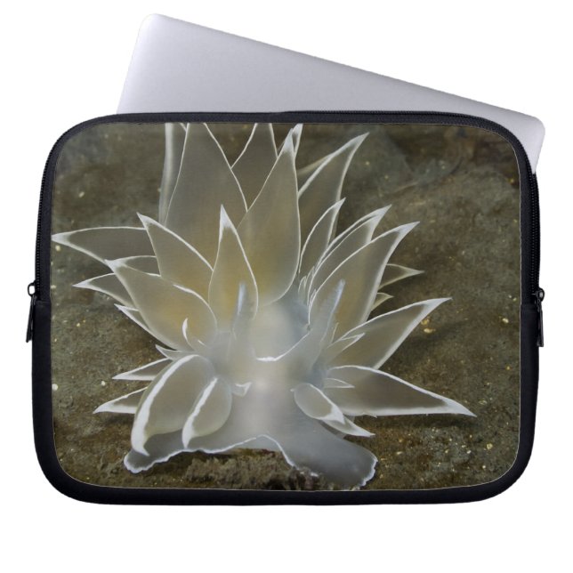 Alabaster NudiBranch Electronics Bag Laptopschutzhülle (Vorderseite)