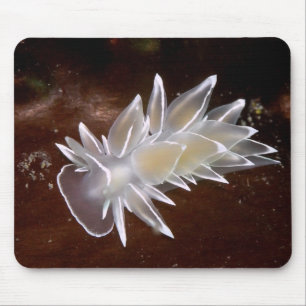 Alabaster NudiBranch Mousepad