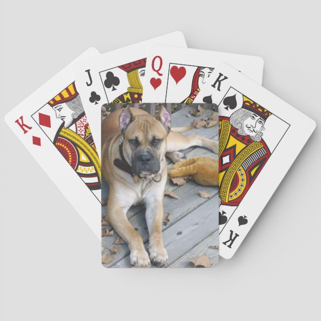 alano espanol Legen Spielkarten (Rückseite)