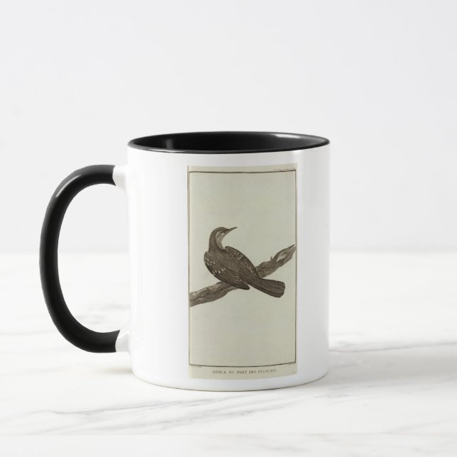 Alaska 2 tasse (Links)
