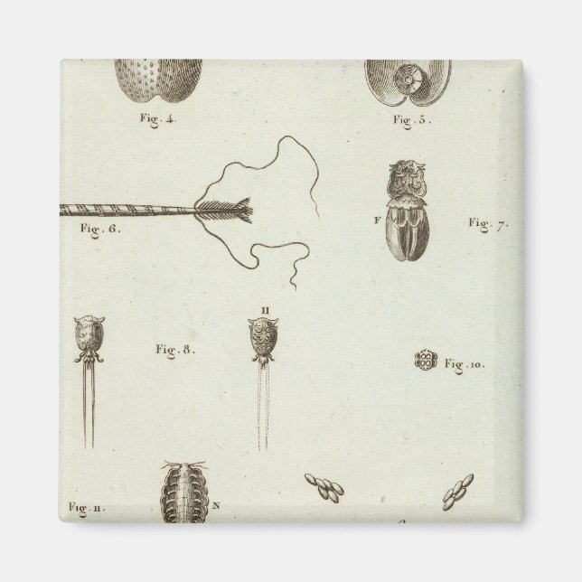 Alaska 3 magnet (Vorne)