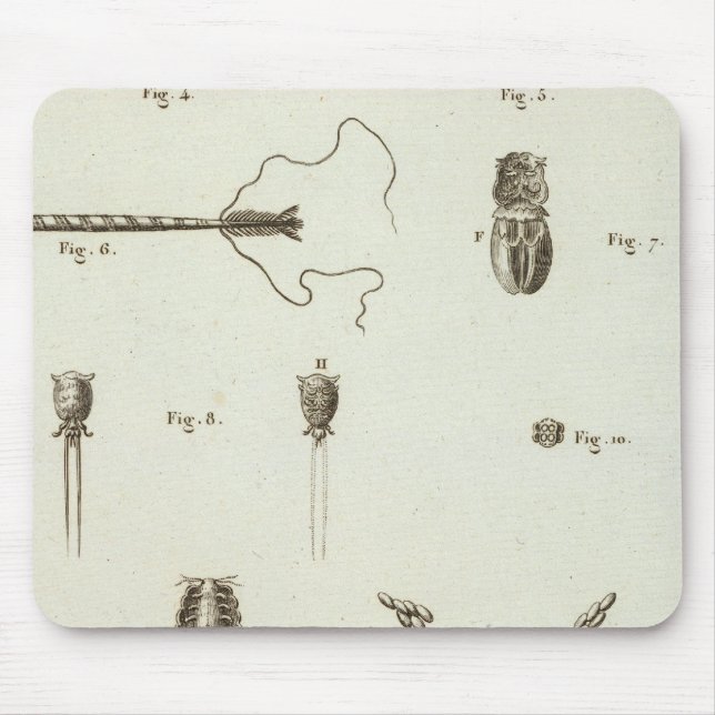 Alaska 3 mousepad (Vorne)