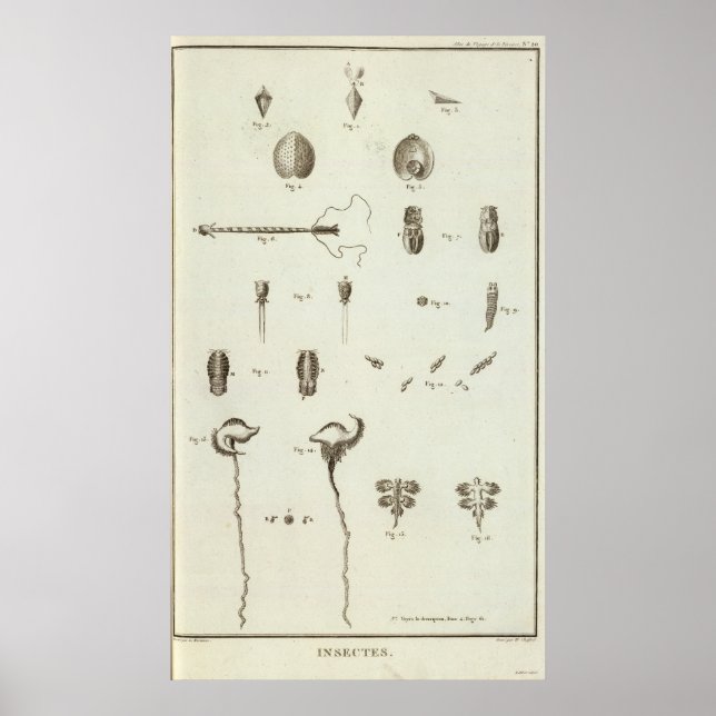 Alaska 3 poster (Vorne)