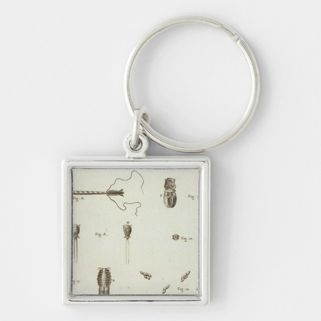 Alaska 3 schlüsselanhänger (Vorne)