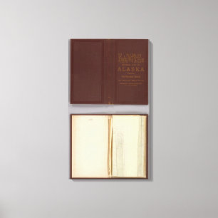 Alaska 4 leinwanddruck