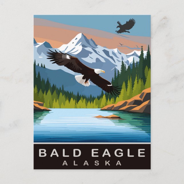 Alaska, Adler, Reisen Postkarte (Vorderseite)