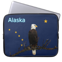 Alaska Adler und Fahne