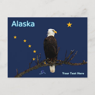 Alaska Adler und Fahne Postkarte