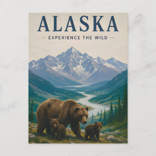 🐻 Alaska Braunbär Bergwildnis 🏔️ Postkarte