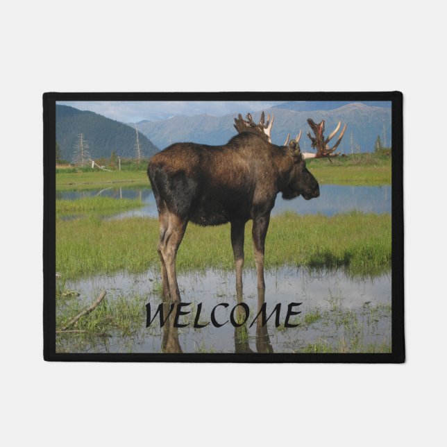 Alaska Bull Elche mit Rackhorns Willkommen Fußmatte (Vorderseite)