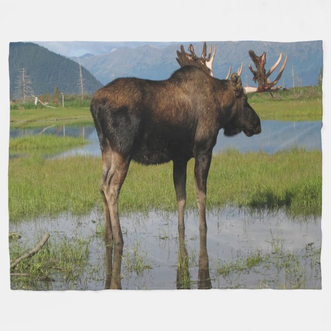 Alaska Bull Moose Antler Rack Outdoor Scene Foto Fleecedecke (Vorderseite (Horizontal))