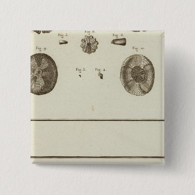 Alaska Button (Vorderseite)