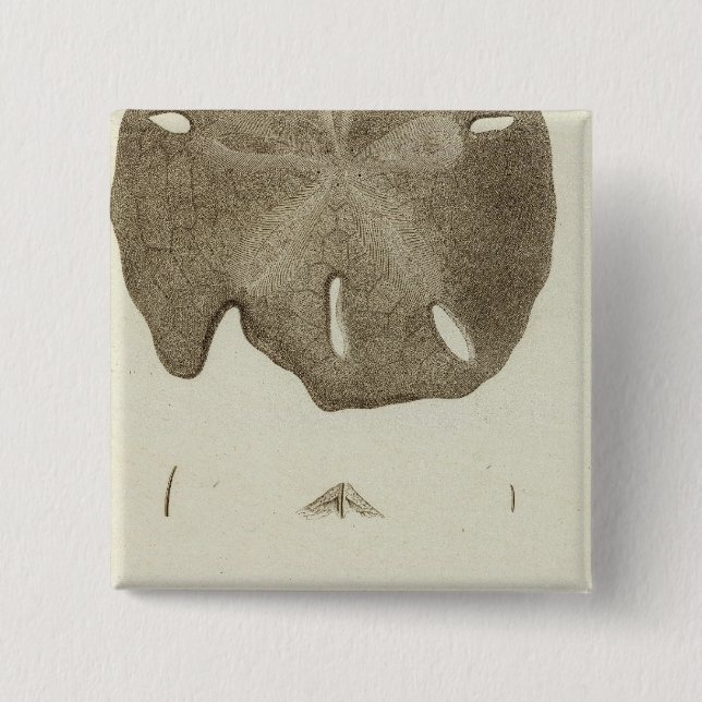 Alaska Button (Vorderseite)