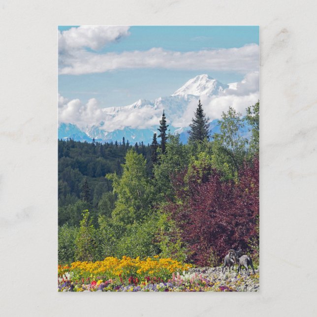 Alaska Denali Landschaft Floral Foto Postkarte (Vorderseite)