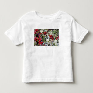 Alaska, Denali-Nationalpark, Arktische Tundra ist Kleinkind T-shirt