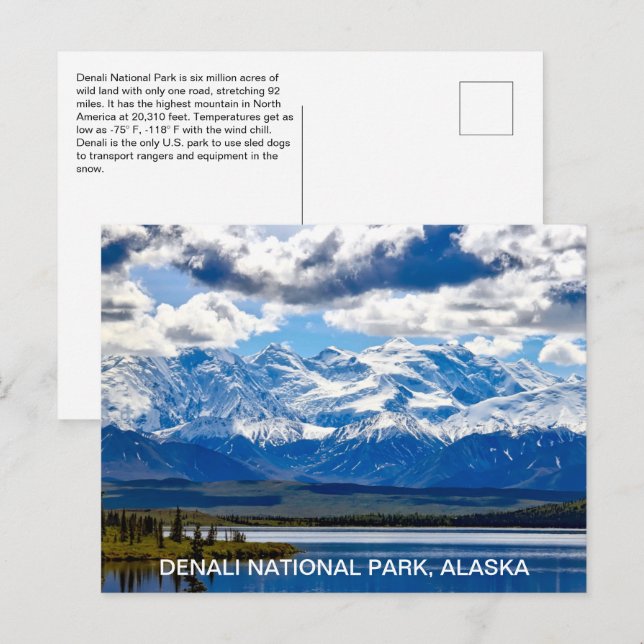 Alaska Denali Nationalpark Postkarte (Vorne/Hinten)