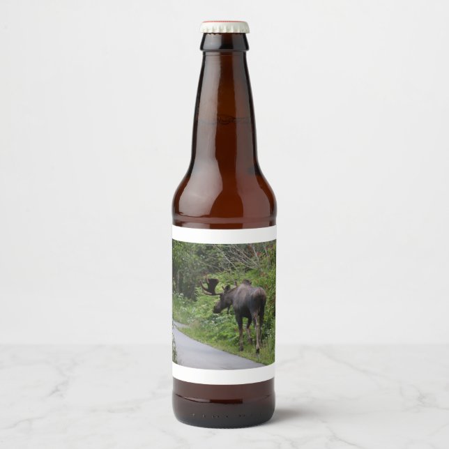 Alaska - Elch Bierflaschenetikett (Vorderseite)