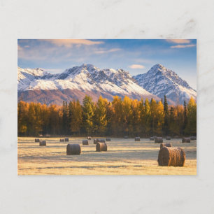 Alaska Farming Postkarte