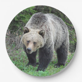 Alaska Grizzly Bar Wildlife Foto Pappteller