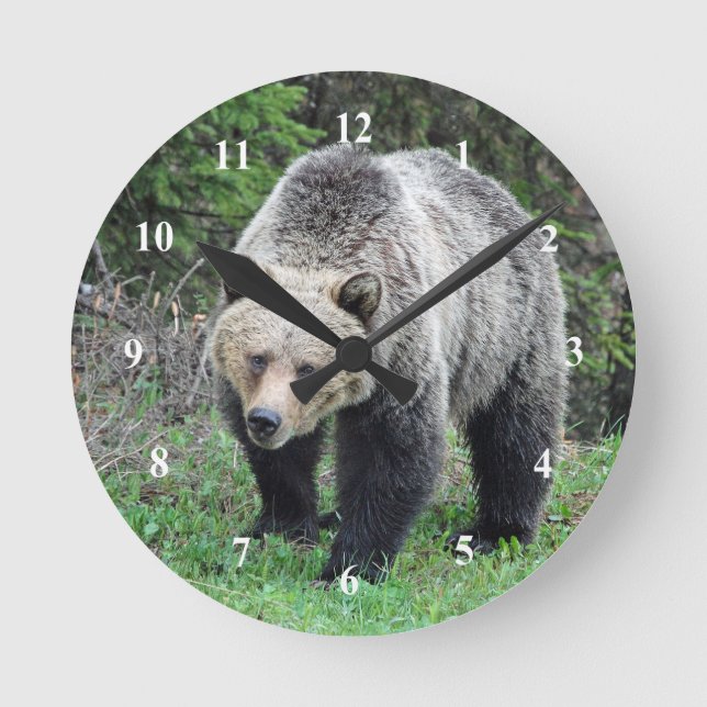 Alaska Grizzly Bar Wildlife Foto Runde Wanduhr (Vorderseite)
