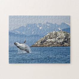 Alaska Humpback Whale Wildlife Foto