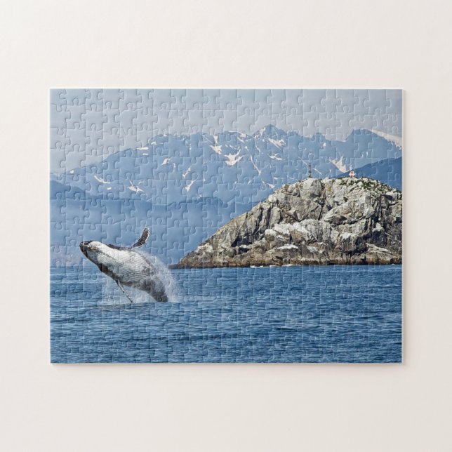 Alaska Humpback Whale Wildlife Foto (Horizontal)