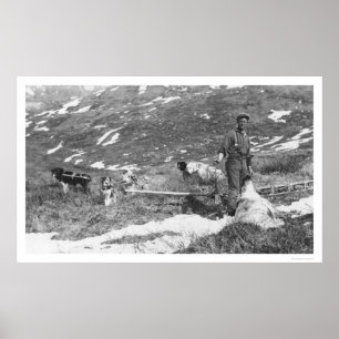 Alaska-Hundeteam, das 1912 jagt Poster