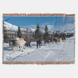 Alaska Husky Dog Sled Race Decke