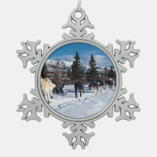Alaska Husky Dog Sled Race Schneeflocken Zinn-Ornament