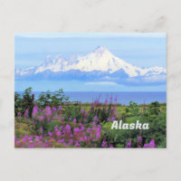 Alaska, Iliamna-Gletscher und Blume für Feueralgen