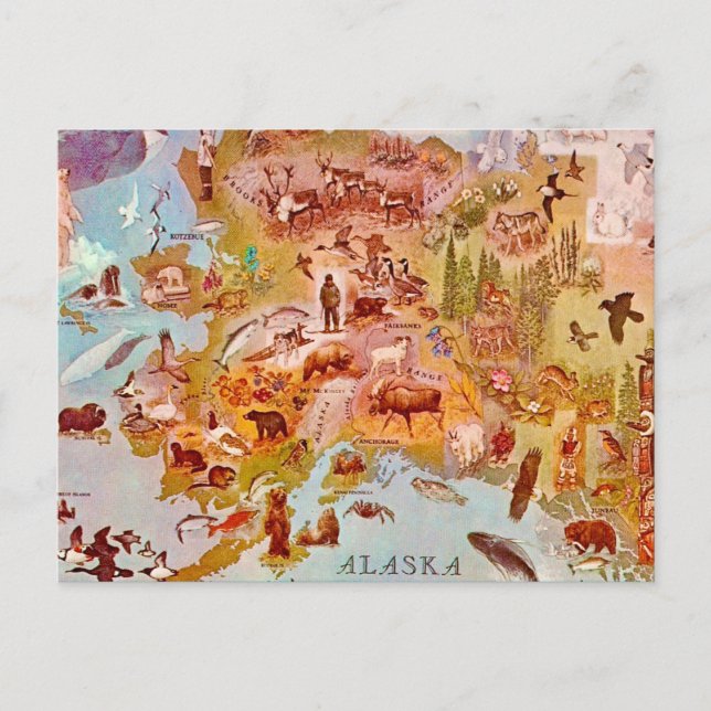 Alaska Illustriert Vintage Postkarte (Vorderseite)