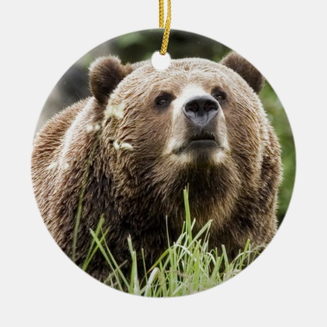 ALASKA KERAMIKORNAMENT (Vorne)