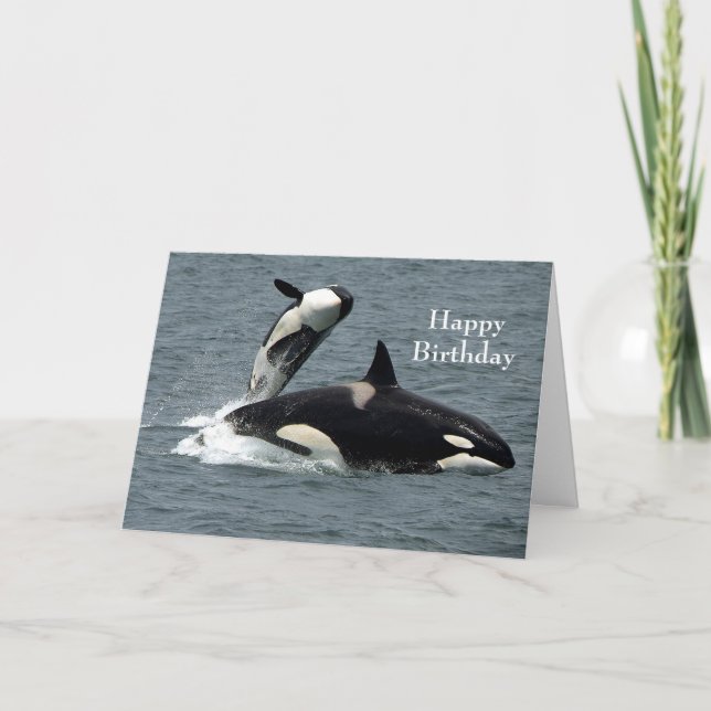 Alaska Killer Whale Orca Photo Carte Anniversaire (Devant)