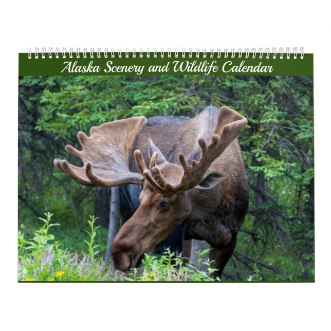 Alaska-Landschaft und Naturkalender Kalender (Titelbild)