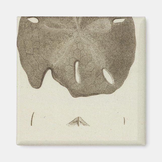 Alaska Magnet (Vorne)