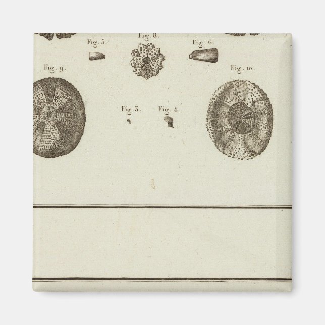 Alaska Magnet (Vorne)