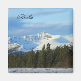 Alaska-Magnete Magnet