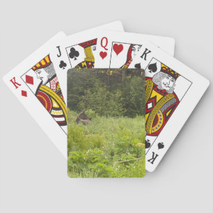 Alaska Moose Poker Card Deck Spielkarten